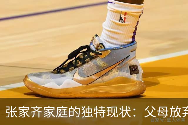 张家齐家庭的独特现状：父母放弃工作专注她的跳水事业